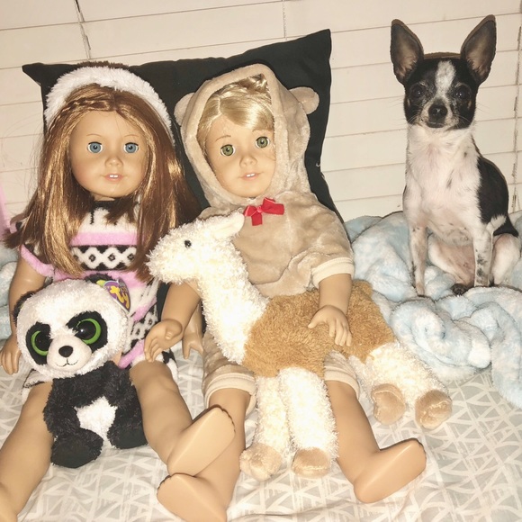 ISO DOG ITEMS - Picture 6 of 8